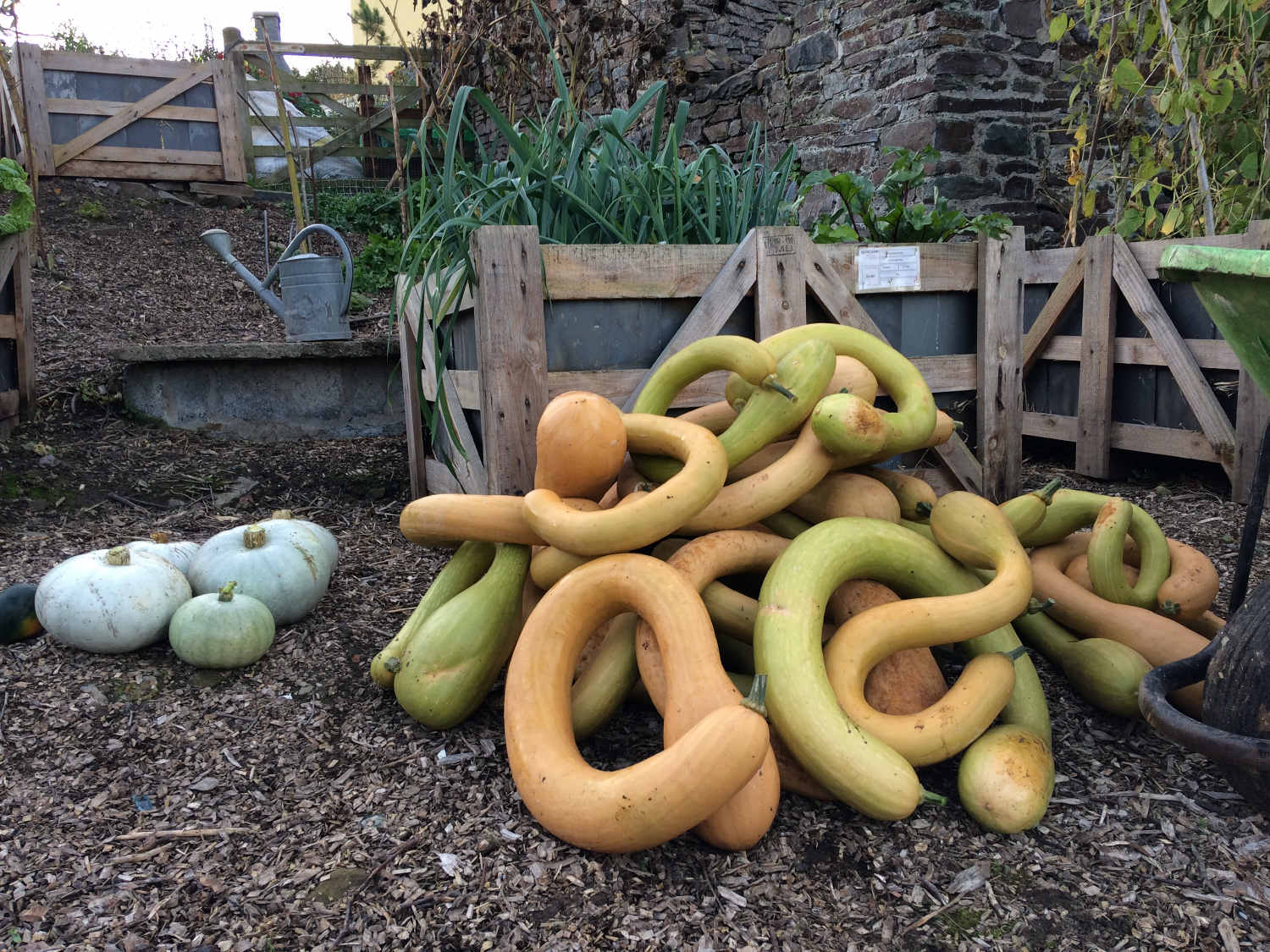 Image showing a large amount of fresh garden produce.