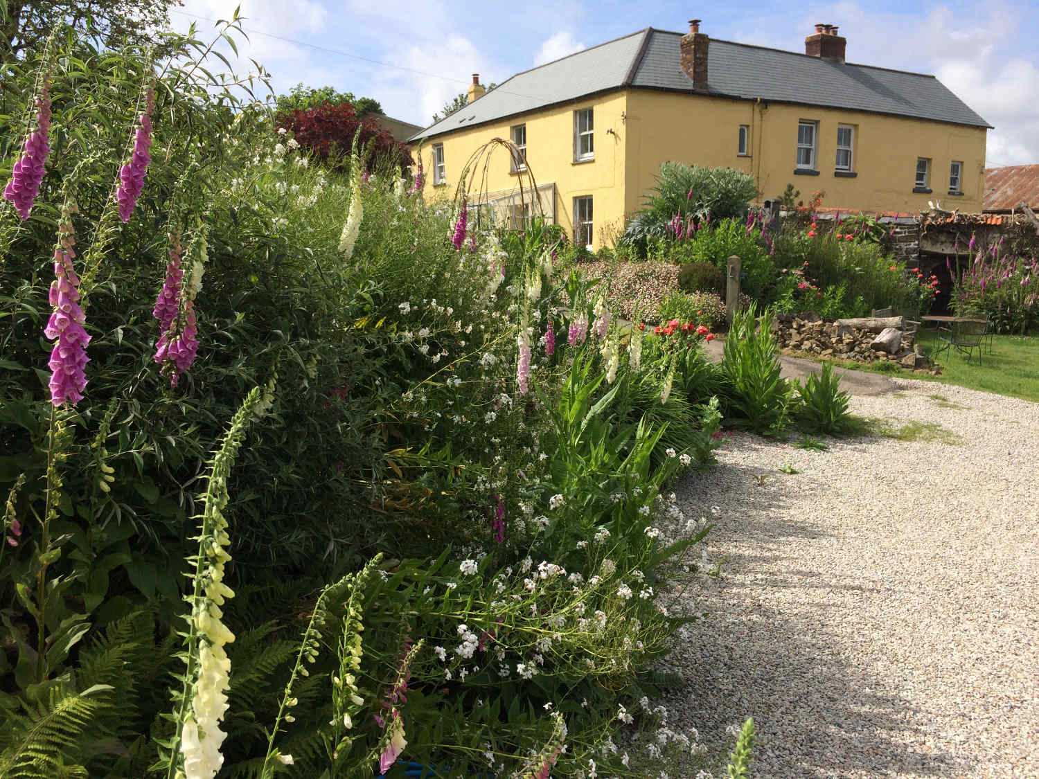 Image showing Frizenham Farmhouse in the background, and Fox Glove flowers and others in the foreground.