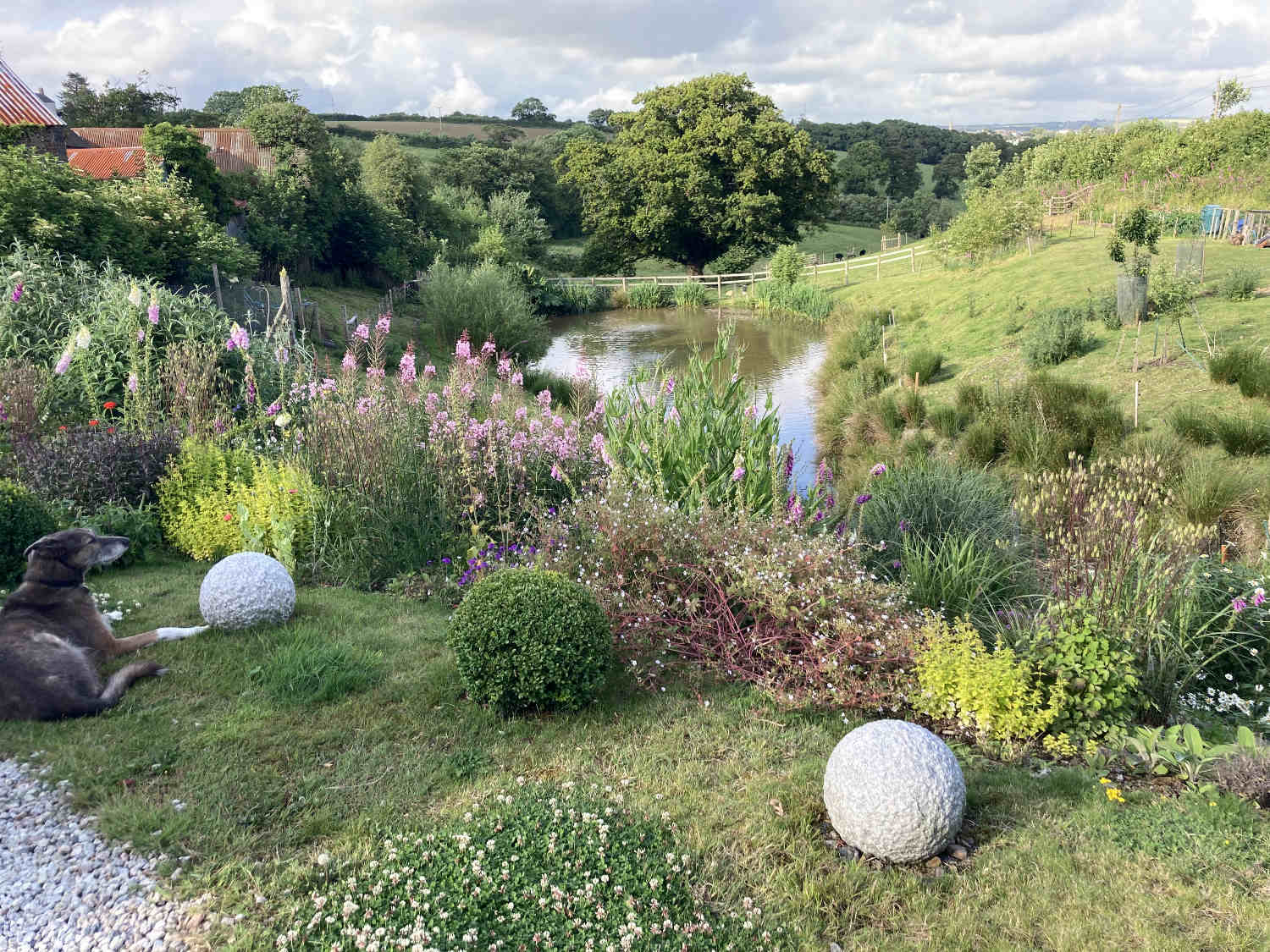 Image showing the pond at Frizenham Farmhouse in the midground and family dog in the foreground.