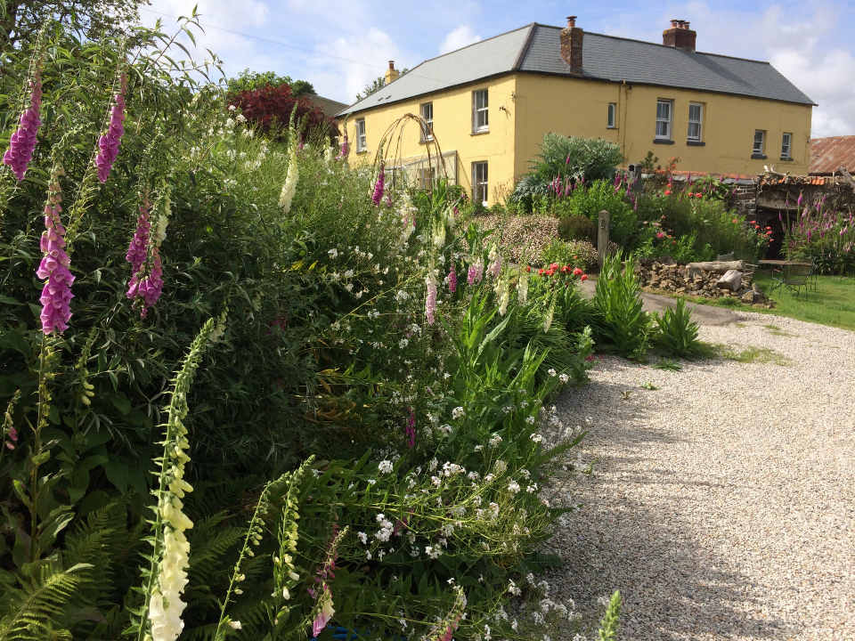 Frizenham Farmhouse North Devon Bed and Breakfast Great Torrington